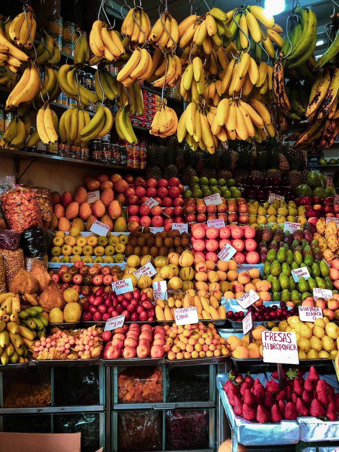 Alimentación Sostenible